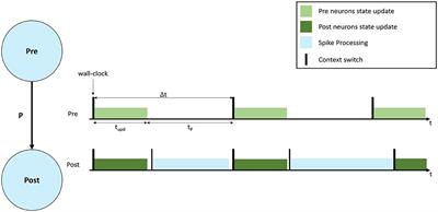 Parallelization of Neural Processing on Neuromorphic Hardware